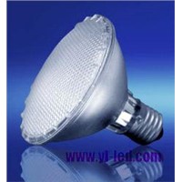 PAR30 LED Bulbs