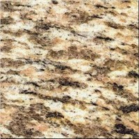 Granite Tile-Tiger-skin Yellow