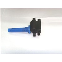 dry ignition coil