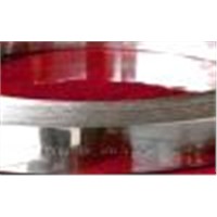 stainless steel strap