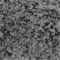 tungsten carbide