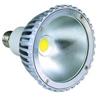 LED PAR bulb 15W