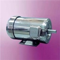 NEMA Motor