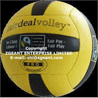 PU Hand Sewn Volleyball