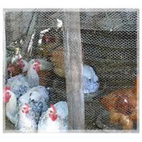Poultry Wire Netting