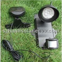 Solar motion sensor light