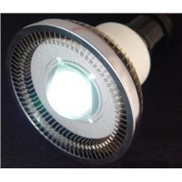 LED PAR30 Lamp