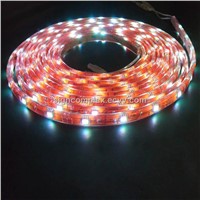 Crystal LED Strip (SC-TWF)