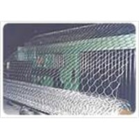 Hexagonal Wire Netting/Chiken mesh