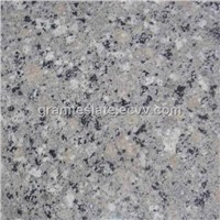 White Granite-Water Starry (FS-GRR635)