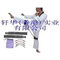 taekwondo exerciser