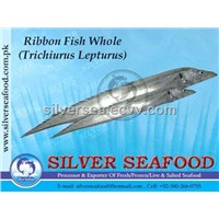 Ribbon Fish (0303)