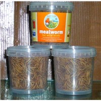 Dry Mealworms-03