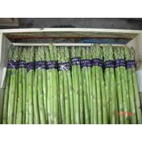 Frozen Asparagus