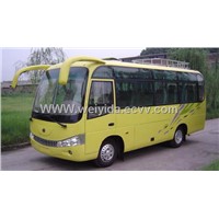 passenger bus / road bus