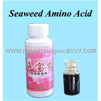 Seaweed Amino Acid