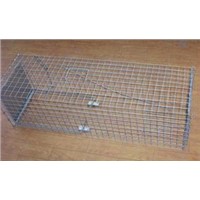 feral cat cage trap