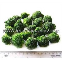 Sell IQF Frozen Broccoli at Low Prices