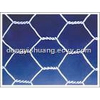 Hexagonal Wire Mesh