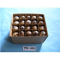 Quail egg
