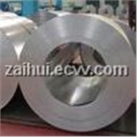 Stainless Steel Welded Cold Rolled Coil/Coils