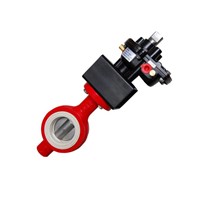 Pneumatic Butterfly Valve