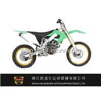 250cc Motorcycle(BSE-DMX250)