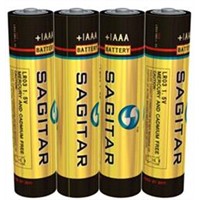 AAA Alkaline Battery (LRO3)