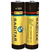 AA Alkaline Dry Battery (LR6)