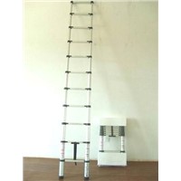 Aluminum Telescopic Ladder (LT-F861)