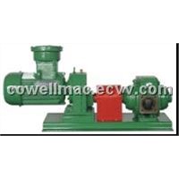 Coupling drive rotary vane pump / Rotary Pump