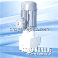 PM Synchronous Metering Pump Motor