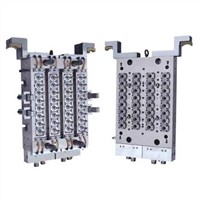 Plastic Injection Mold & Plastic Moulding