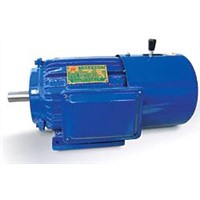 YEJ series three phase squirrel-cage induction motors