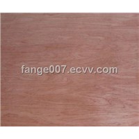 bintangor plywood