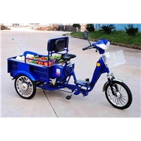 Electric Tricycle (DSX-80/48)