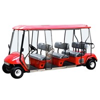 Gasoline Golf Cart (DS-GG013)