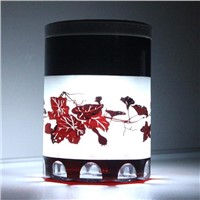 soalr led lamp(ALS-013A)