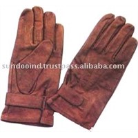 Horse Riding Gloves (Horse Equipment)