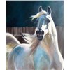 Animal Horse Oil Painting (Dwm008)
