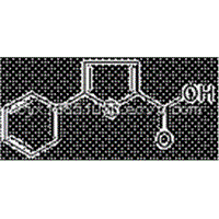 5-Phenyl-2-thiophenecarboxylic acid