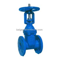 BS5163 Rising Resilient Seated Gate Valve