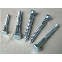 Hex Lag Screws