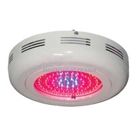 LED Grow Light