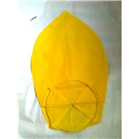 Skylanterns, Sky Lanterns, Glolanterns, Glo-Lanterns, Glo Lanterns, Fiesta Lanterns, Fiestalanterns