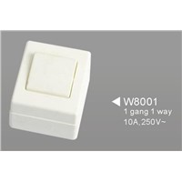 Surface Mounting Wall Switch and Socket W80 series