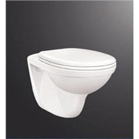 Wall hung toilet