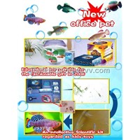 magic fish suitable for festival gift