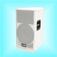 pro audio,speaker,loudspeaker,stage speaker
