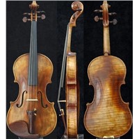 violin SV-301